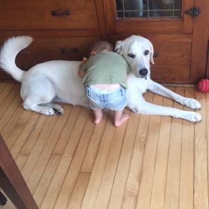 Meet your Posher, Dixie